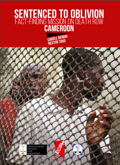 press release cover Cameroon