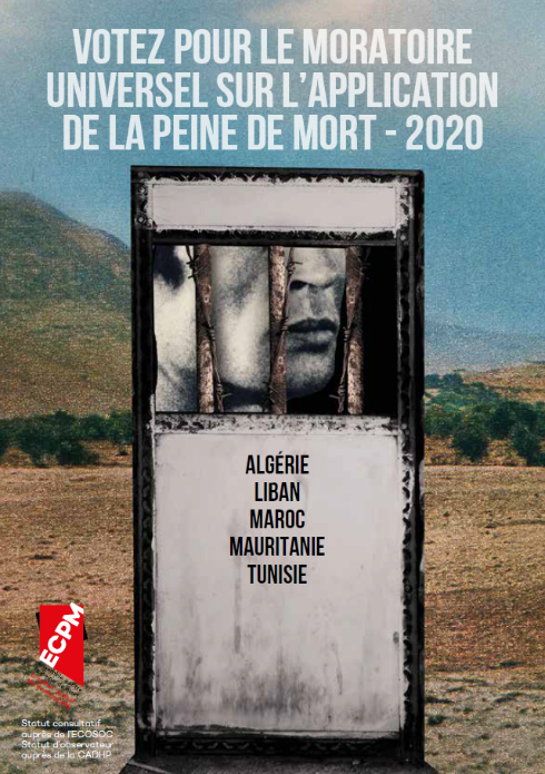 afficher vote pour le moratoire universel maghreb et liban