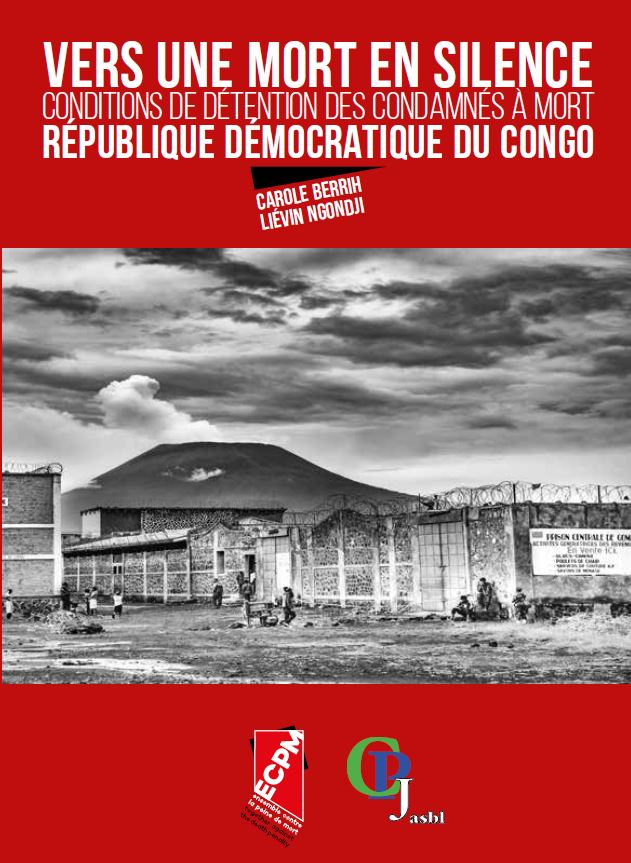 flyer RDC
