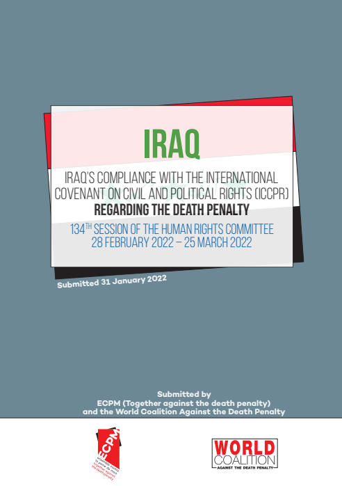 flyer Iraq report